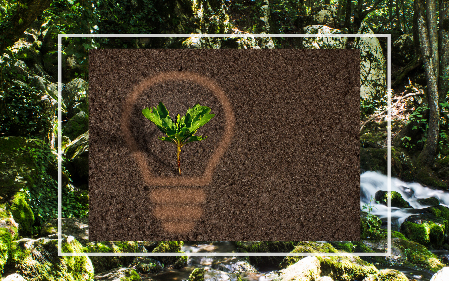 Değişim Yaratmak İsteyen 5 Türk Girişim