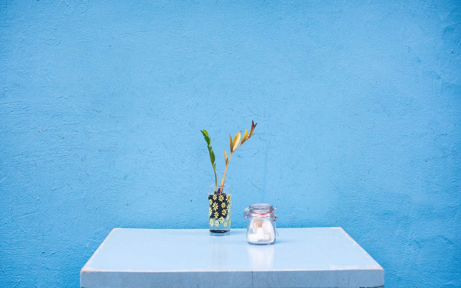 Kathryn Kellogg İle Sıfır Atık Üzerine