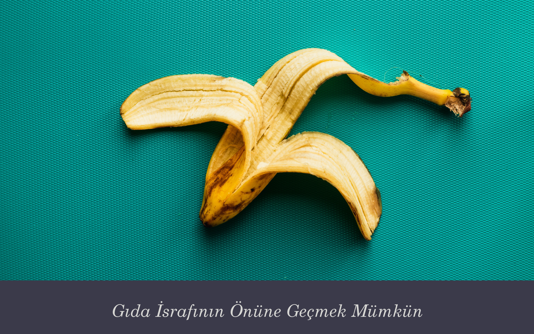 Gıda Atıklarının Alternatif Kullanım Alanları