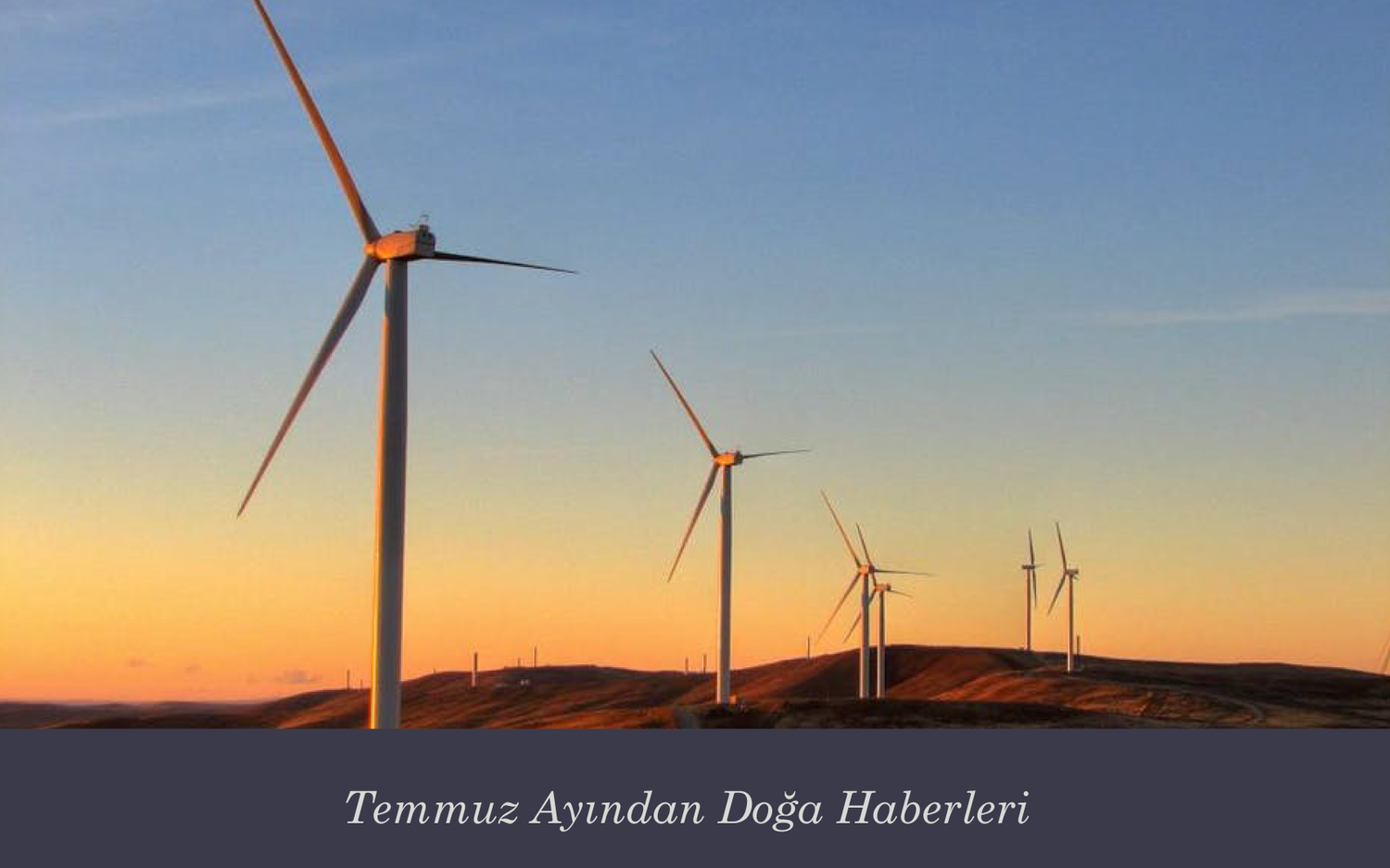 Doğa Haberleri: Önce İyi Haberler mi, Kötüler mi?