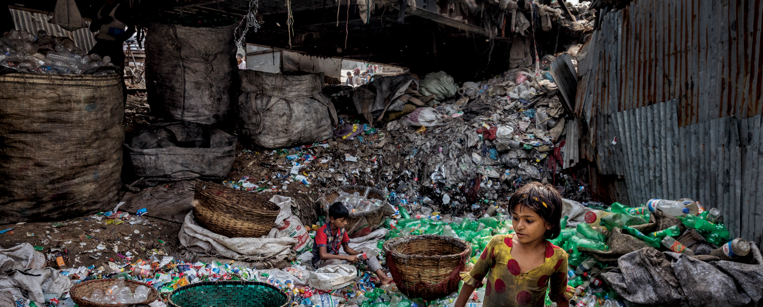 Plastik Atıkların Pençesindeki Canlılar