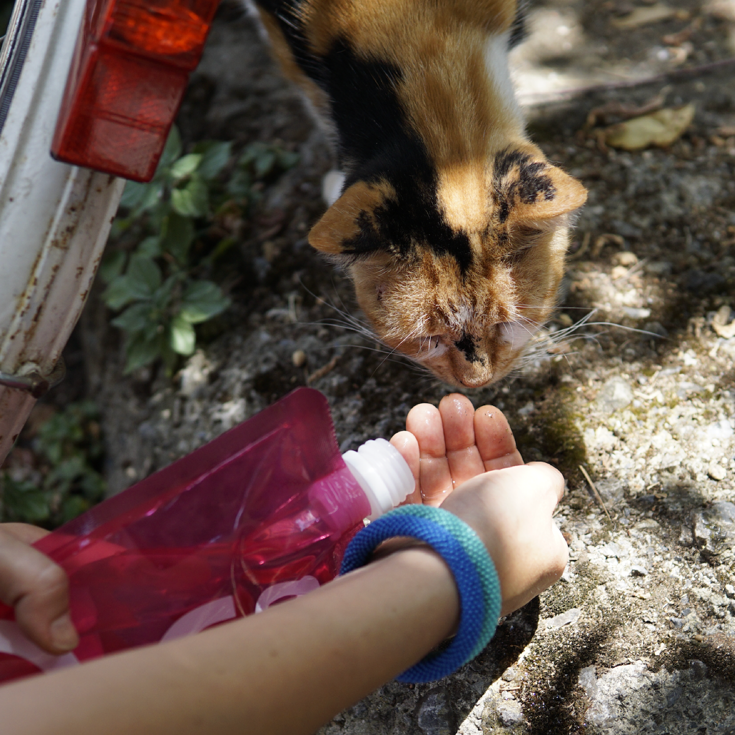 Adil üretim ve bilinçli tüketim üzerine bir not!