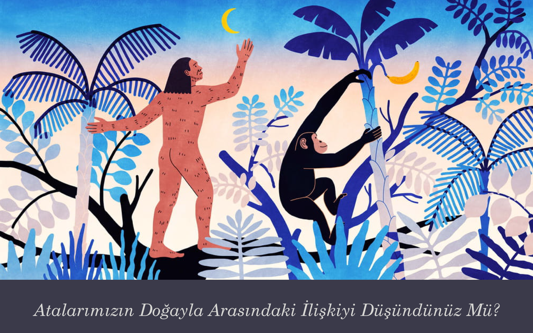 Doğayla Olan Tarih Öncesi İlişkimiz: Homo Sapiens