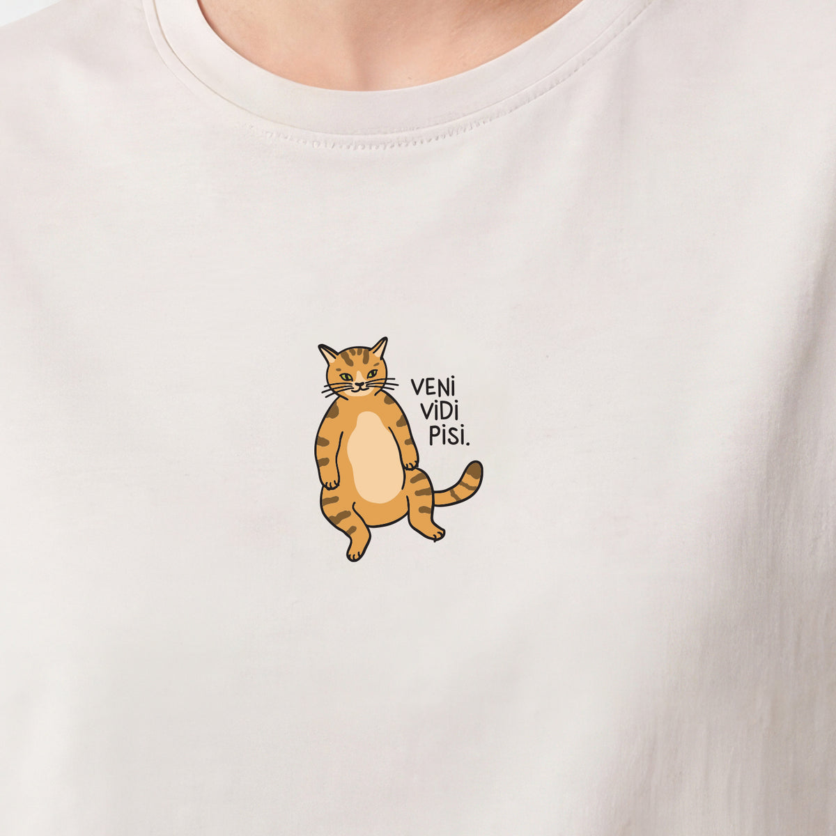 Veni Vidi Pisi T-shirts